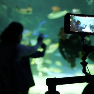 81entertainment Ripleys Cineplex